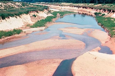 Free Picture Sediments River