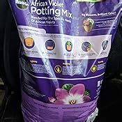 Amazon Miracle Gro African Violet Potting Mix Qt Soil And