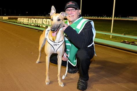 Sennachie GCA Greyhound Of The Month July Greyhound Clubs Australia