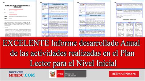 Excelente Informe Desarrollado Anual De Las Actividades Realizadas En