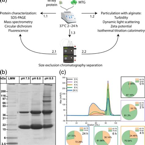 Ph Dependence Of Lg Cross Linking A Methodological Illustration Of