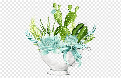 Cactus En Maceta Png Pngwing