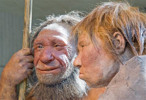 Nuevo Estudio Refuerza La Tesis De Que Los Neandertales Enterraban A