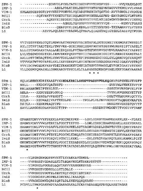 Amino Acid Sequence Alignment Of Spm 1 With Imp 1 Vim 1 Bcii Ccra