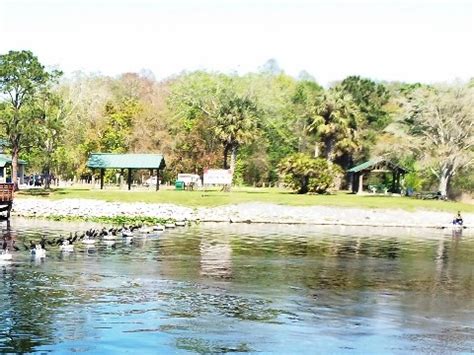 Ocklawaha River, FL Paddling, Kayak, Canoe. E-Z Map, 25+ Photos.