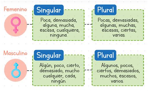 Ejemplos De Determinantes Indefinidos Images And Photos Finder Images