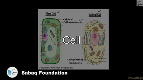 Cell Biology Lecture Sabaqpk Youtube