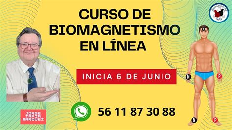 Certificaci N De Biomagnetismo Y Par Biomagn Tico En L Nea Jorge Tapia