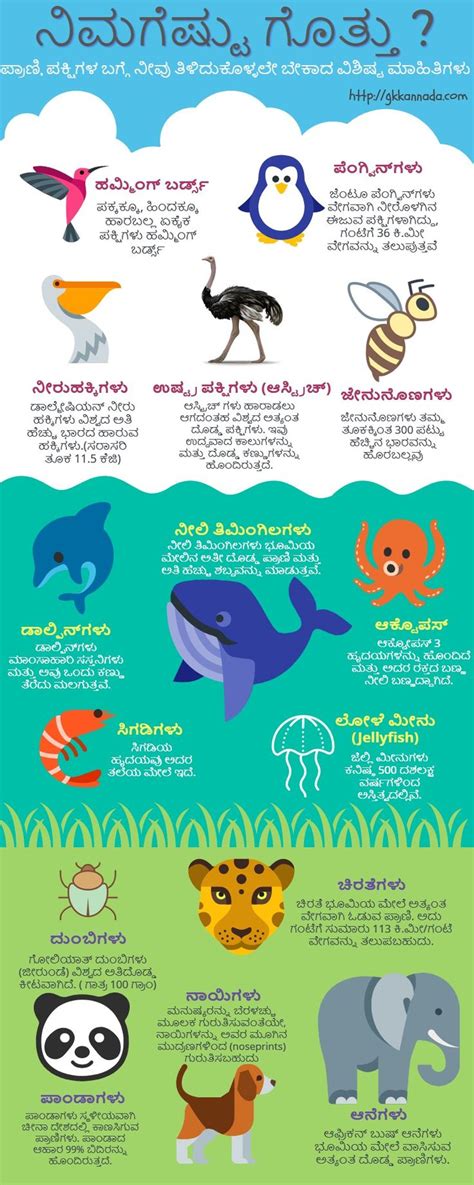 Learn interesting facts about animals | Fun facts about animals, Animal ...