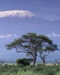 Trekking Tour In Moshi Kilimanjaro Climbing Trips Trekking