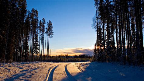 Cold Road wallpaper | nature and landscape | Wallpaper Better