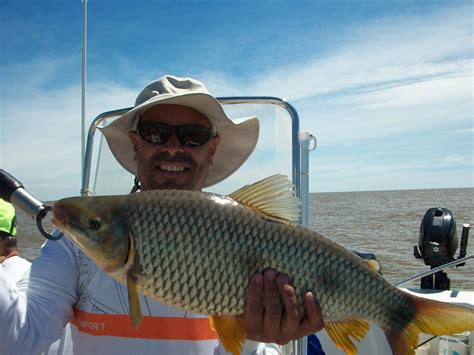 Guia De Pesca En Berisso Altapesca Terminamos Febrero Con Excelentes