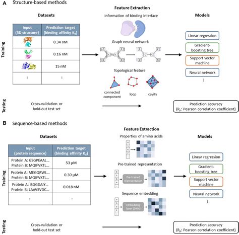 Frontiers Machine Learning Methods For Protein Protein Binding