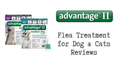 Advantage Flea Treatment Reviews - Pest Survival Guide