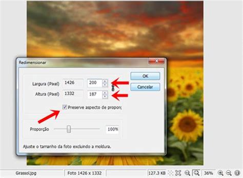 Como Diminuir O Tamanho De Foto Aplicativos Gr Tis