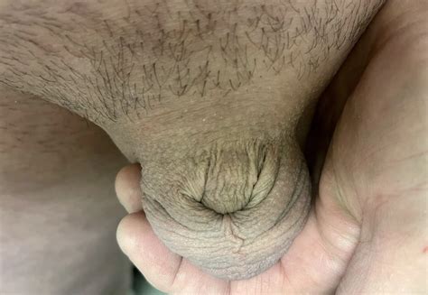 Me And My Inverted Cock 9 Nude Pics XHamster