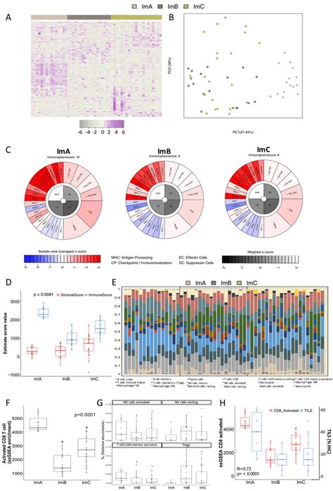 Immune Landscape Of The Three Immuno Clusters Identified In Triple