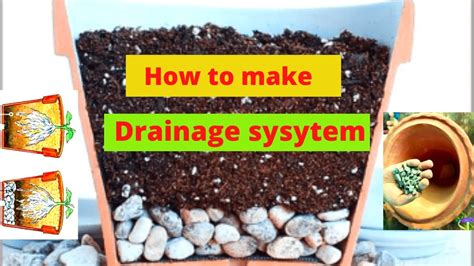 What To Put In Bottom Of Plant Pots For Drainage At Pam Cerys Blog