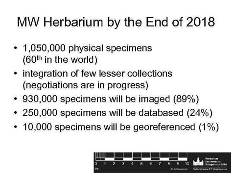 Moscow Digital Herbarium And The National Depository Bank