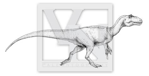 Allosaurus Fragilis By T Pekc On Deviantart