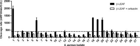 Leaf Assays Determine β Lactamase Production And Cefazolin Activity In