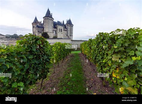 Saumur France Vineyard Hi Res Stock Photography And Images Alamy