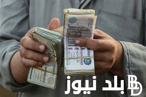 وزارة المالية توضح موعد صرف مرتبات شهر يوليو 2024 لكافة العاملين في