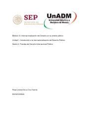 M U S Rodg Pdf M Dulo Internacionalizaci N Del Derecho En Su