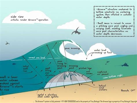 The Future Of Artificial Reef Technology Airwave