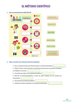 M Todo Cient Fico Ficha Interactiva Metodo Cientifico Material The