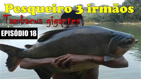 Pesqueiro Irm Os Tambacus Epis Dio Pesca Natureza Youtube