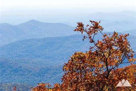 Rabun Bald: Hiking the Bartram Trail from Beegum Gap