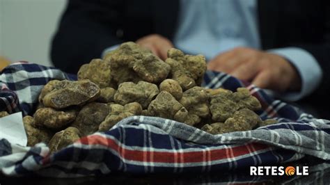 Mostra Mercato Del Tartufo Bianco E Della Patata Appuntamento A