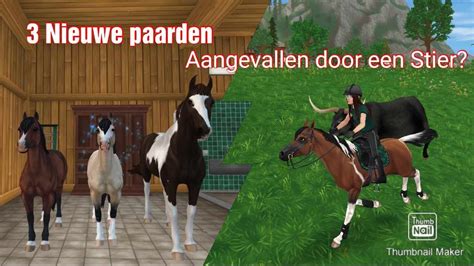 Star Stable Westernkamp Star Shine Hoeve Nieuwe Paarden Kopen En