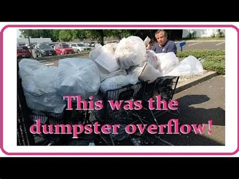 WOW HUGE HAUL Dumpster Diving At Dollar Tree They Couldn T Even Fit