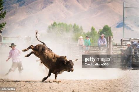 Bull Riding Woman Photos and Premium High Res Pictures - Getty Images