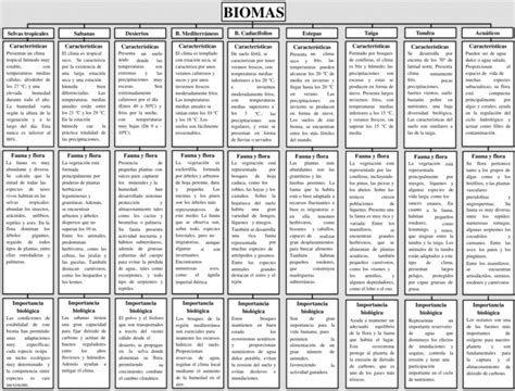 Mapas Conceptuales De Los Biomas Descargar The Best Porn Website