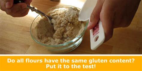 Globs Of Gluten Weekly Science Activity