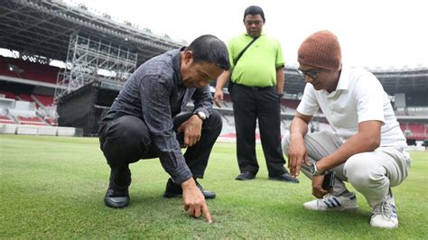 Stadion GBK Dipakai Konser PSSI Wanti Wanti Kondisi Rumput Jelang