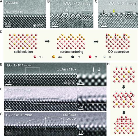 Cuau Surface Structural Response To Co And H O Gases A C In Situ