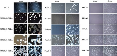 Figure From Synthesis Of Mpeg B Plla Diblock Copolymers And Their