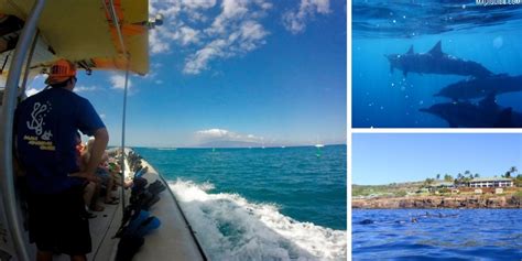 Lanai Snorkeling Review - Maui Adventure Cruises