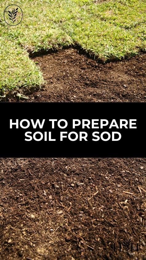 How To Prepare Soil For Sod Kickstart Your Lawn With A Strong Foundation