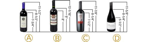 Wine Bottle Sizes Dimensions Best Pictures And Decription Forwardsetcom