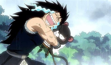 Gajeel And Panther Lily | Best Wallpapers