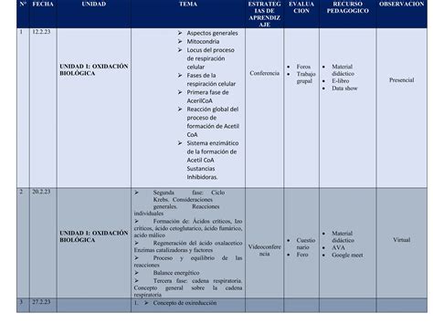 Ejemplo de sílabo de bioquímica para estudiantes de enfermería PPT