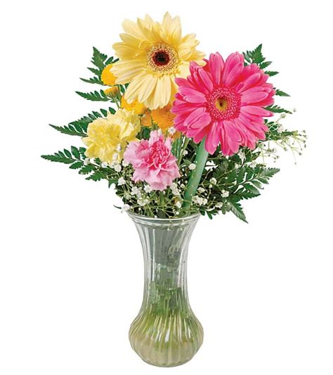 Assorted Daisies in Clear Vase - Prepared Food Photos, Inc.