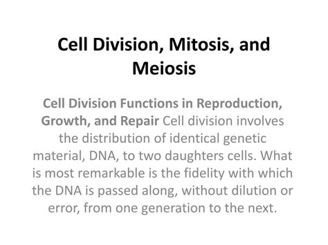 Mitosis Meiosis Cell Powerpoint Ppt Presentations Mitosis Meiosis Hot Sex Picture