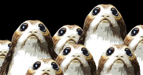 Why Porgs Were Perfect in Star Wars: The Last Jedi