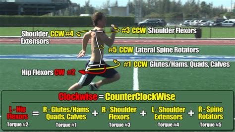 Body Torque 5 Lateral Spine Rotators For Sprinting Speed Aqspeed